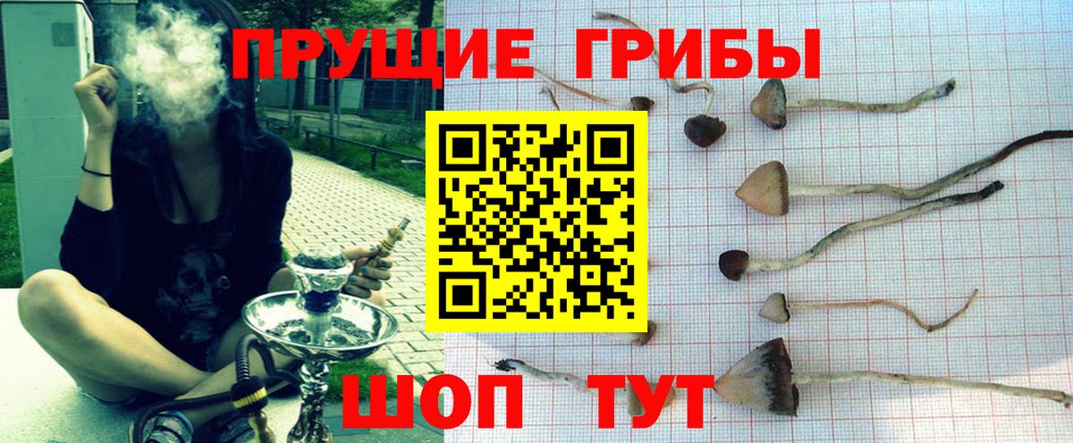 Ртищево  Псилоцибиновые грибы мицелий  Вход с VPN 